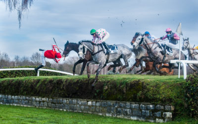 Les coulisses de l’hippodrome de Pau