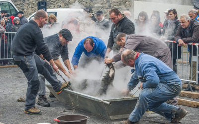 Saint Lary fête le cochon