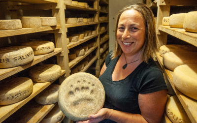 Le bon fromage à la patte d’ours – Sud Ouest  Le Mag